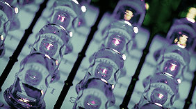 免费网络电话呼叫系统