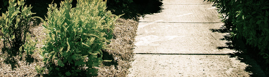 神经网络模型的电话轰炸机官网